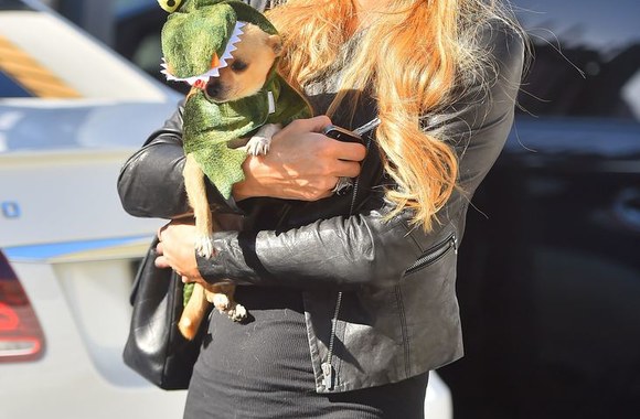 Paris Hilton su savo augintiniu