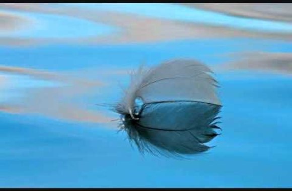 VIDEO kadras: Gintarė Jautakaitė - \"Paukšteliai\"