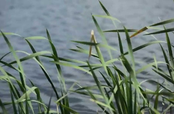 VIDEO kadras: Liepos Mondeikaitės fotosesija žurnalui „Žmonės“