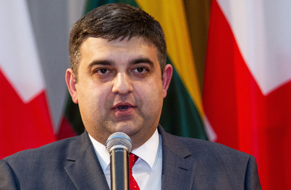 Sakartvelo ambasados priėmimas – Sakartvelo kultūros pavasaris Vilniaus Rotušėje