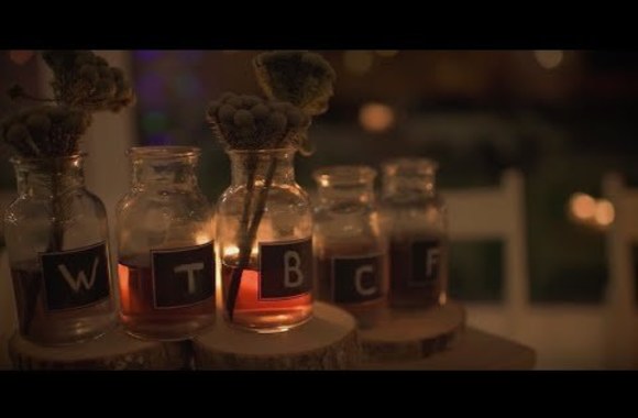 where-the-backs-come-from-waterfalls-tlc-cover