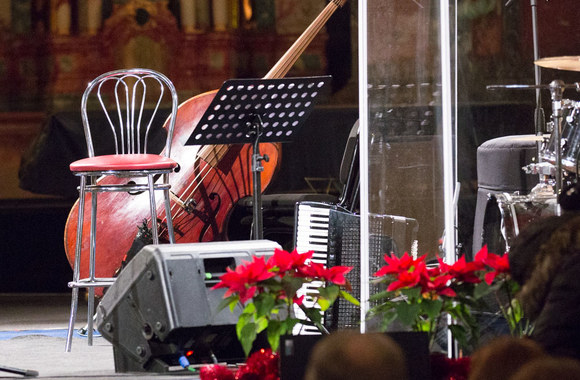 Martyno Levickio koncerto akimirka