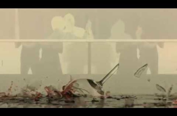 Irena Starošaitė „Brangusis“