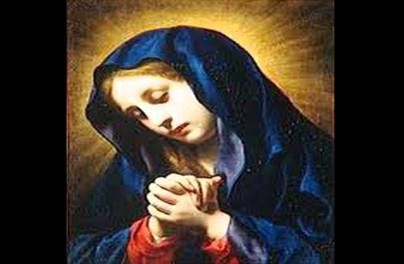 VIDEO kadras: Kaltinėnų klebonas Petras Linkevičius