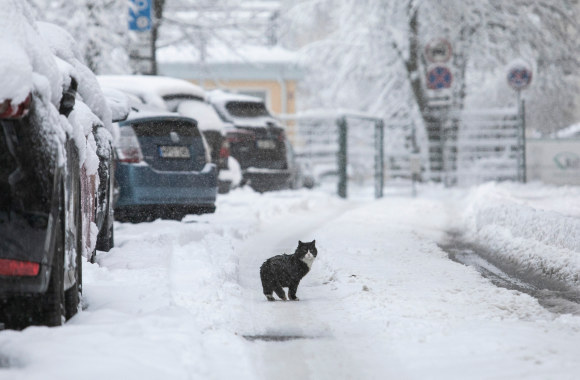 Žiema Vilniuje / Pauliaus Peleckio nuotr.
