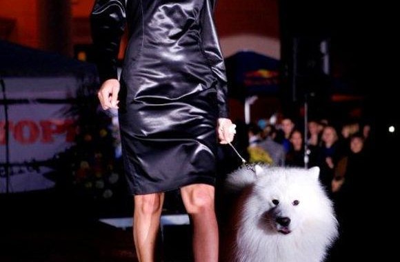 „Ivo Nikkolo“ modeliai