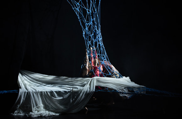 „Fauna Circus“ / Donato Ališausko nuotr.