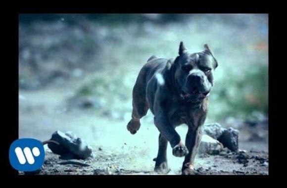 foals-what-went-down-official-music-video