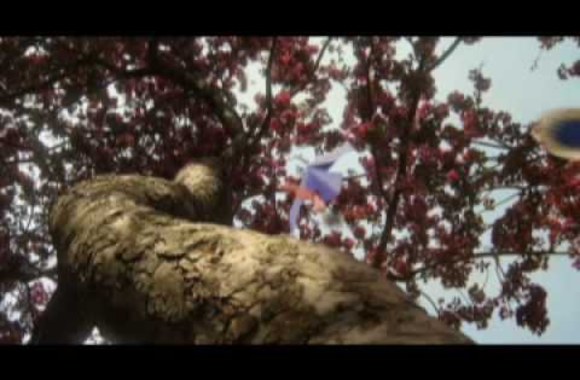 VIDEO kadras: of Montreal - An Eluardian Instance 