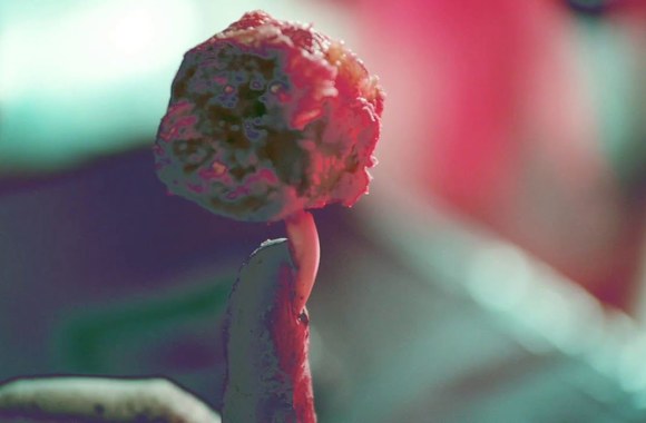 fever-ray-this-country-official-audio