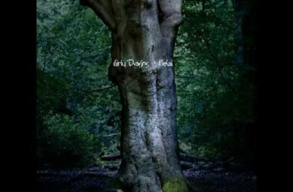 giriu-dvasios-gaubia