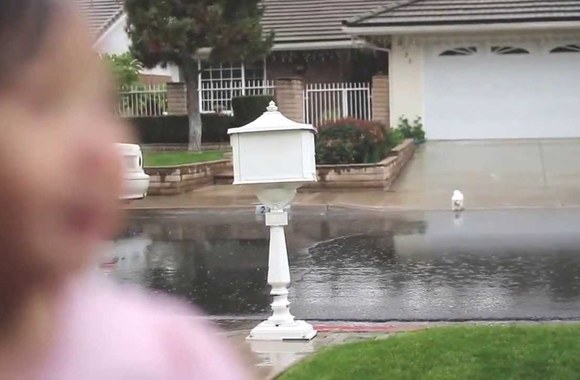 VIDEO kadras: Mergaitė pirmą kartą džiaugiasi lietumi