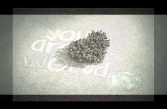 VIDEO kadras: Eglutei skirta daina