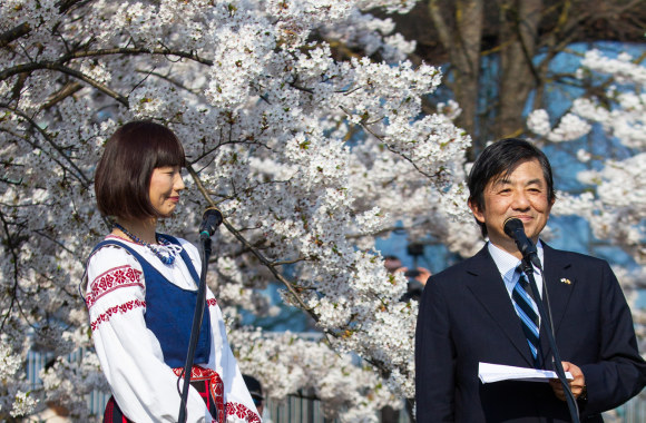 Originali sakurų žydėjimo šventė Vilniuje/Pauliaus Peleckio/„ŽMONĖS Foto“ nuotr.