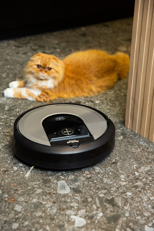  iRobot Roomba i7+ / Gamintojo nuotr.