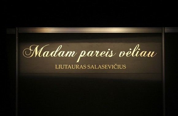 Liutauro Salasevičiaus kolekcijos pristatymo akimirka