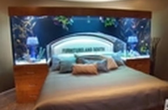 VIDEO kadras: Lova akvariumas