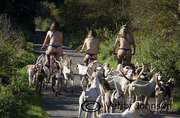 2013-ųjų „Tynedale Hunt“ kalendorius