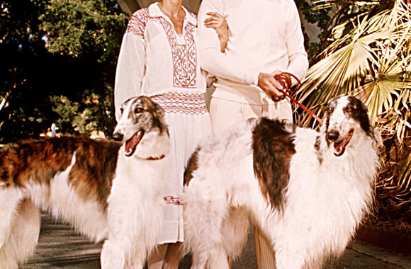 Holivudo žvaigždės su šunimis