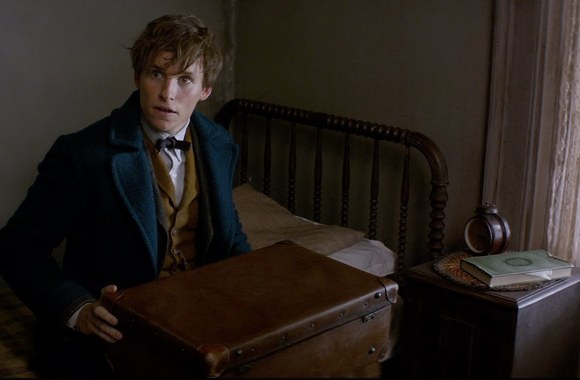 filmo-fantastiniai-gyvunai-ir-kur-juos-rasti-anonsas