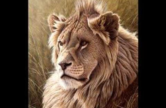 VIDEO kadras: Dailininkas Ericas Wilsonas