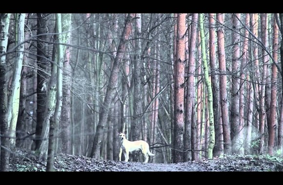 VIDEO kadras: Debiutinis Matildos dainos „Someday“ vaizdo klipas