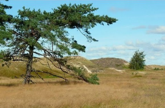 uraganius-su-airida-mockute-strazdas