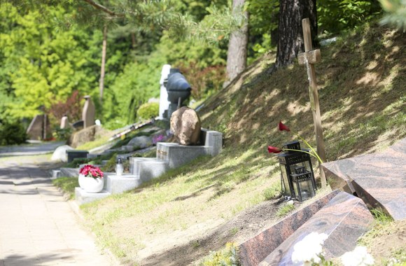 Vytauto Šapranausko kapas