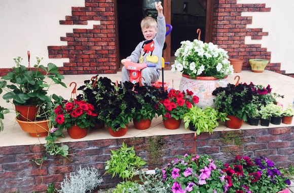 Gėlėmis išpuošti Natalijos Bunkės namai Klaipėdoje