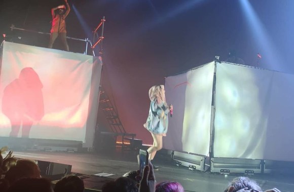 „Die Antwoord“ koncerto akimirka 