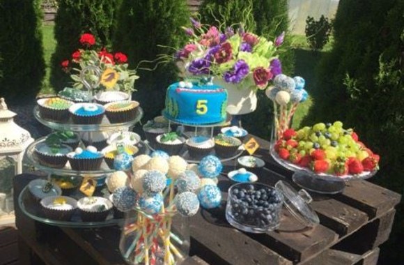 Natalijos Bunkės sūnaus Kristupo gimtadienio akimirka