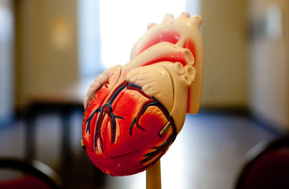 Raudonos suknelės vakaras