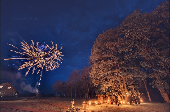 Justinos Žiogaitės ir Arno Butkaus vestuvių akimirka