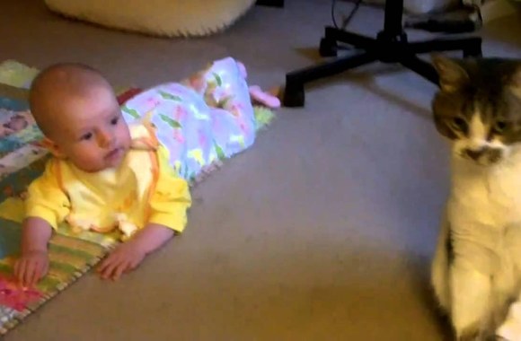 VIDEO kadras: Draugai