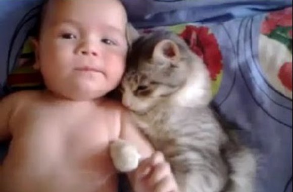 VIDEO kadras: Meilė