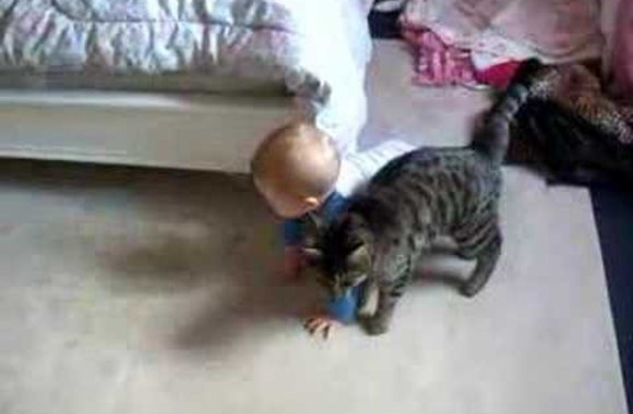VIDEO kadras: Kūdikis ir katinas
