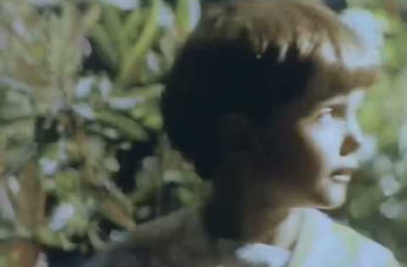 VIDEO kadras: Enya – Caribbean Blue