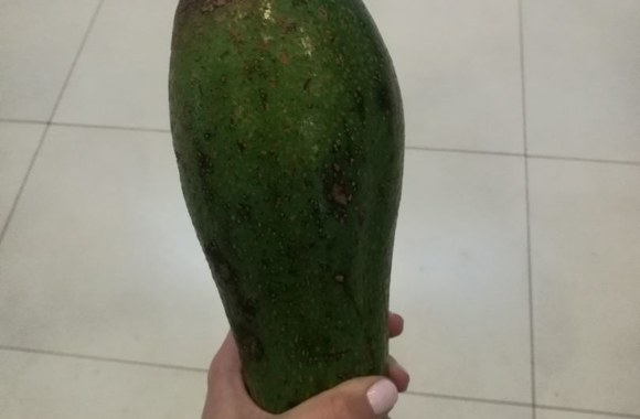 Alina ir Mārtiņš Bajārs Zambijoje