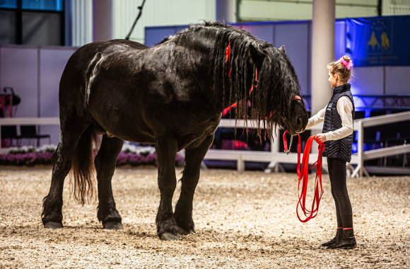 Edukacinė paroda „Žirgai 2019“/Gretos Skaraitienės/„ŽMONĖS Foto“ nuotr.