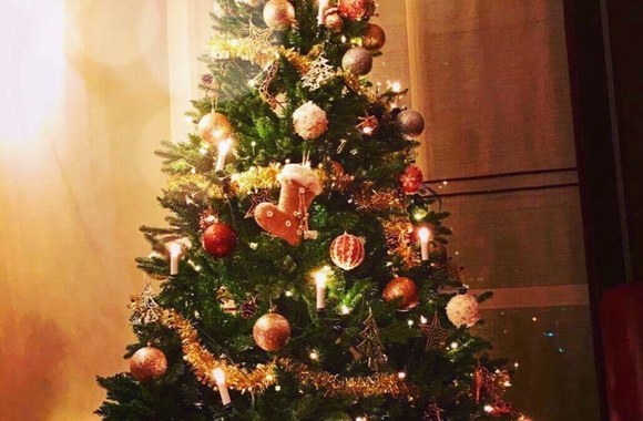 Ugnė Galadauskaitė