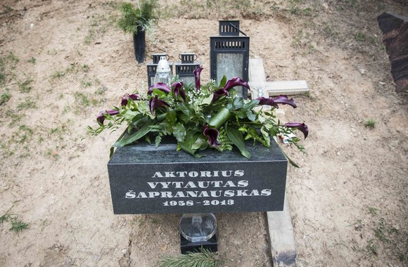Vytauto Šapranausko kapas