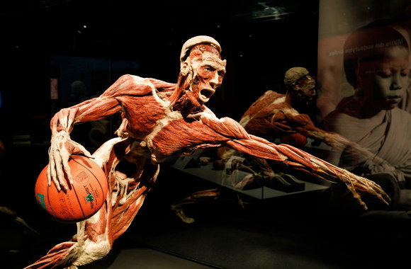  „Body Worlds“ parodos atidarymo akimirka / Eriko Ovčarenko nuotr.