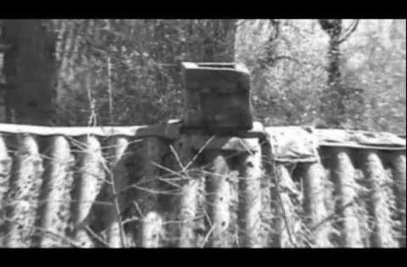 VIDEO kadras: „Žalvarinis“ – „Bitela“