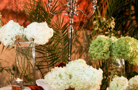 Irmos Jurgelevičiūtės gimtadienio akimirka