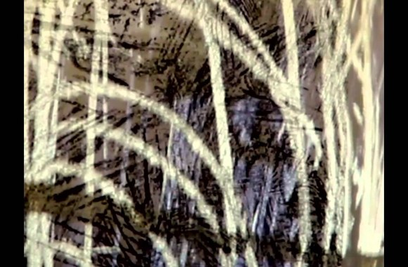 VIDEO kadras: Markas Palubenka – „Lipam Lipam“