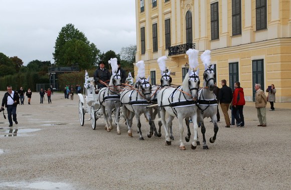 Richardo Lugnerio ir Cathy Schmitz vestuvės