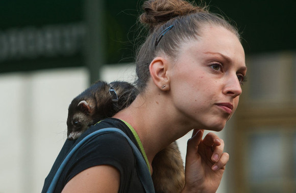 Akimirka iš koncerto