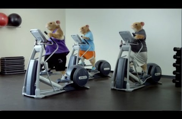 VIDEO kadras: „Kia Soul“ reklama su žiurkėnais, skambant Lady Gagos hitui „Applause“