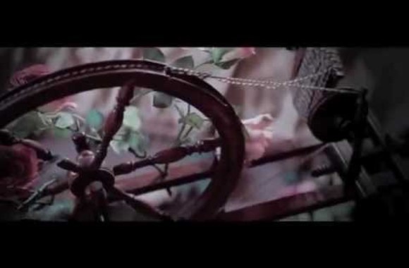 VIDEO kadras: Dizainerių kurtos pasakų princesių suknelės