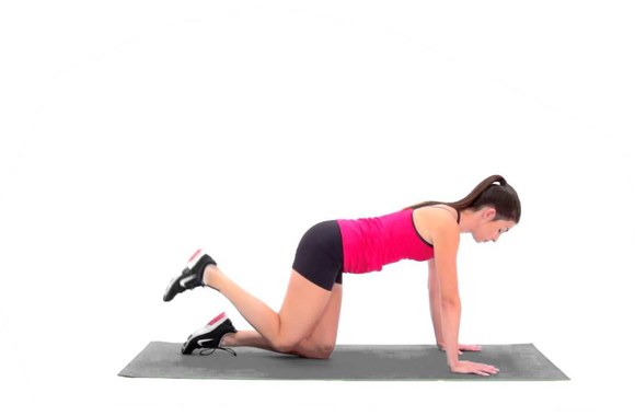 pratimas-asiliuko-spyriai